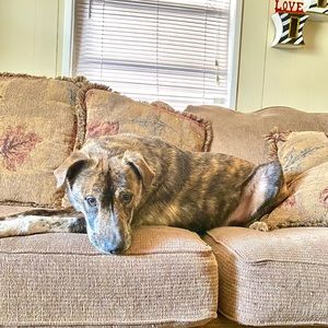 Meet your Posher, Myra